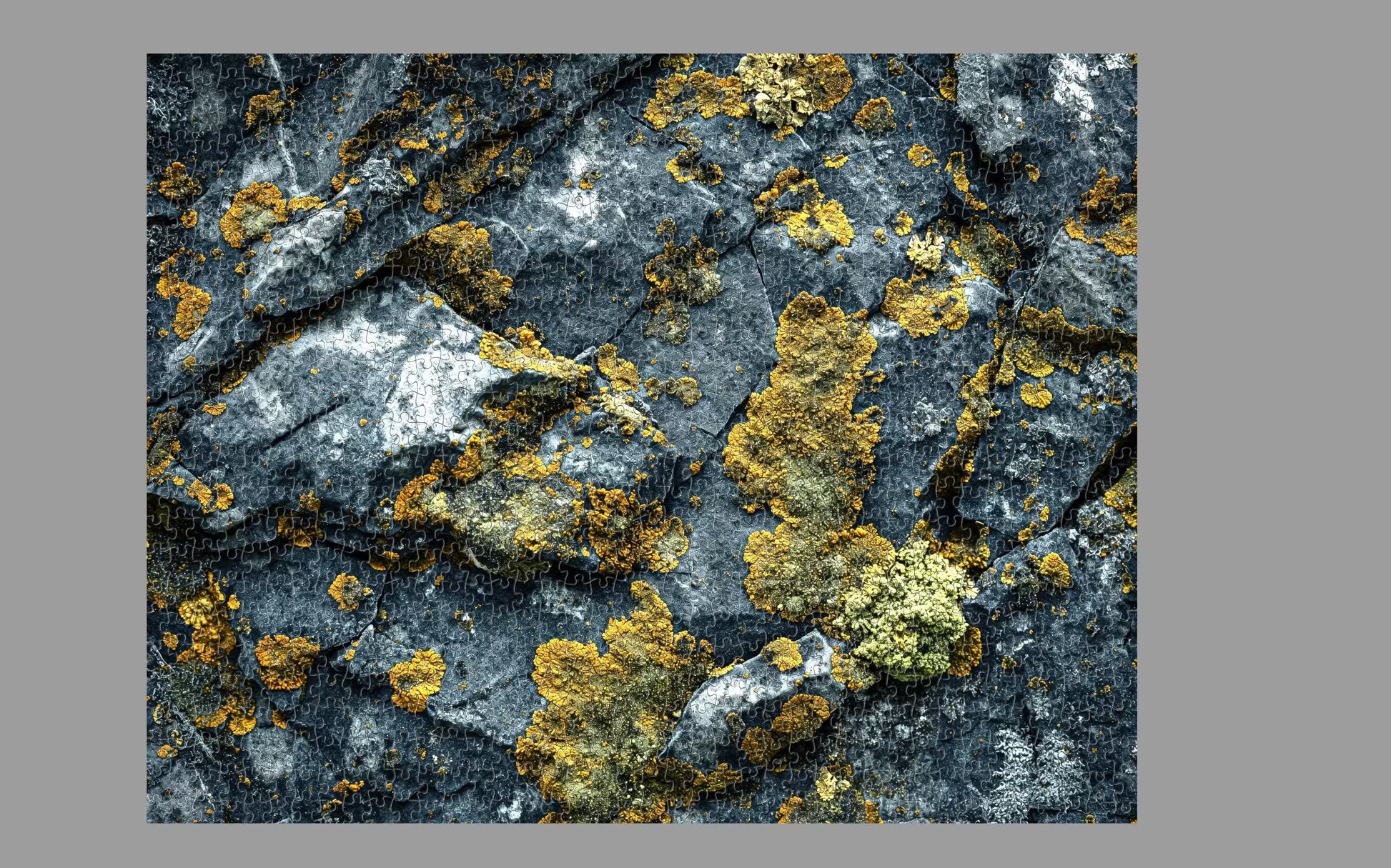 1000-piece jigsaw puzzle titled 'A Study in Patience', featuring a full view of a complex or tranquil scene.