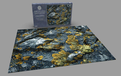 Jigsaw puzzle with a natural landscape design and packaging on a gray background