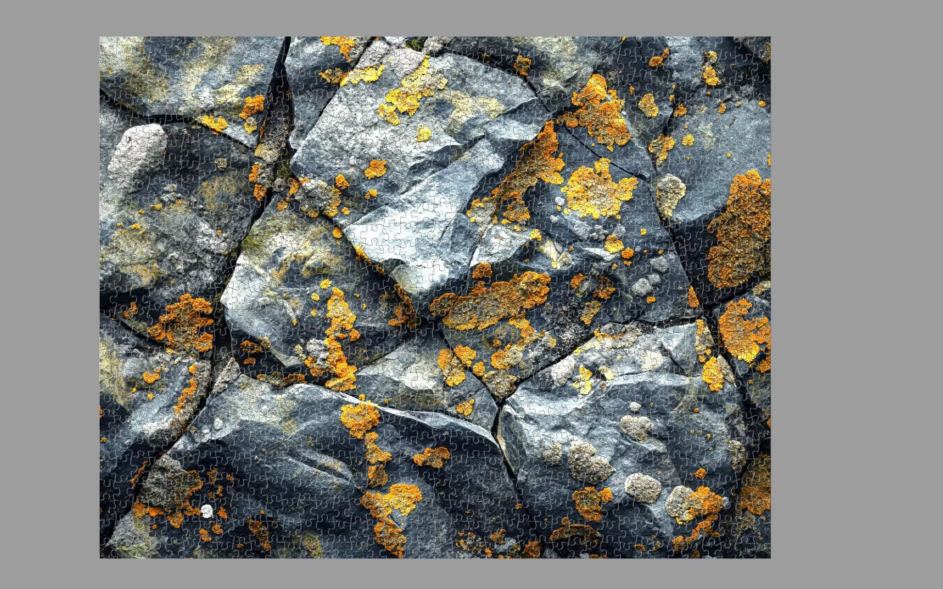 Close-up of rocky surface with orange lichen