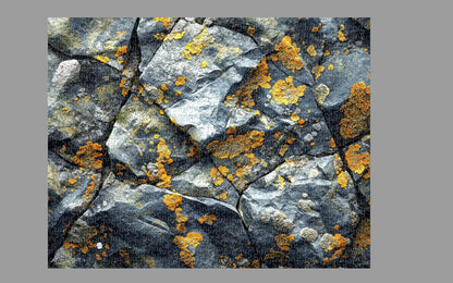 Close-up of rocky surface with orange lichen