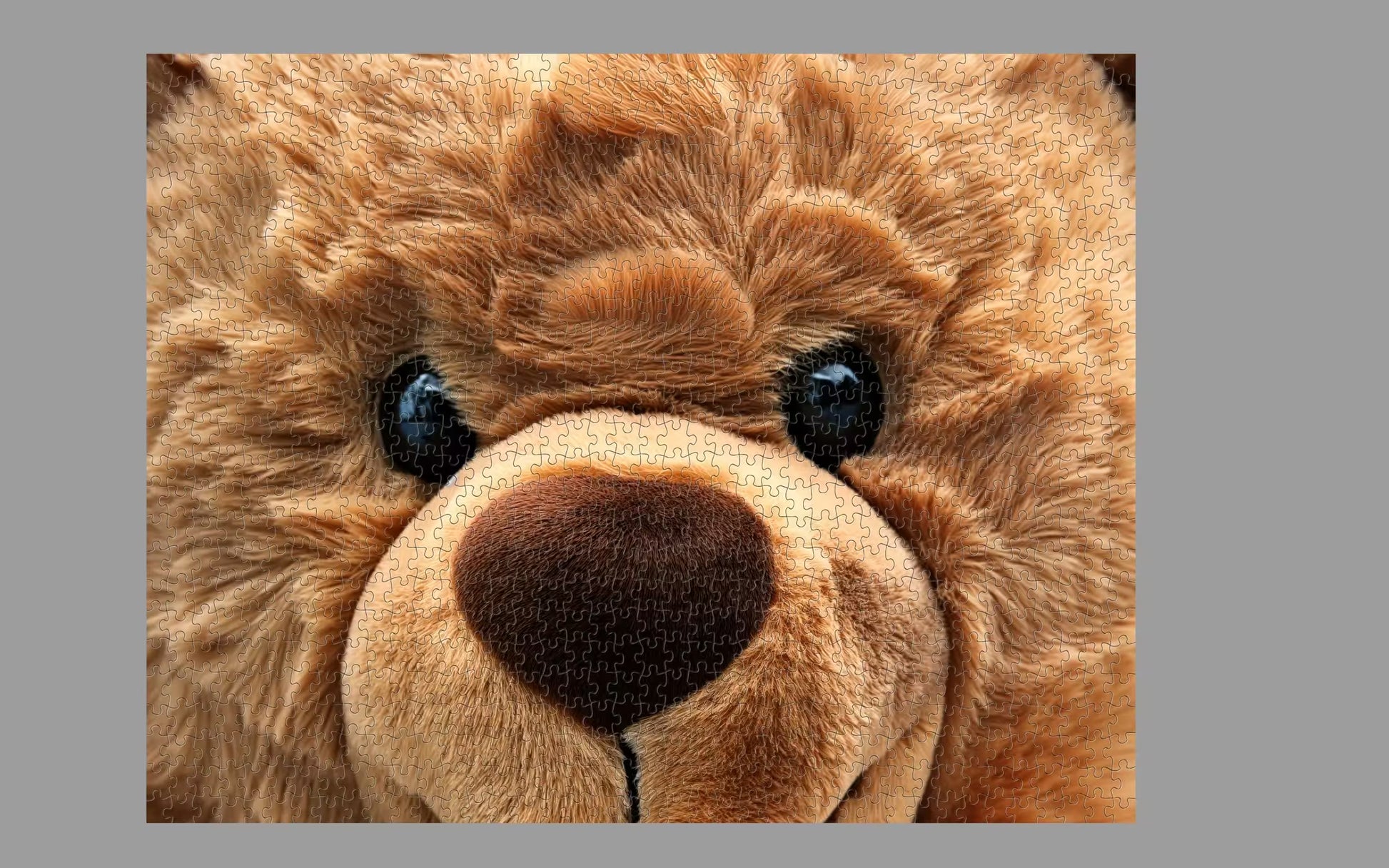 Close-up of a brown teddy bear's face with a soft focus effect.